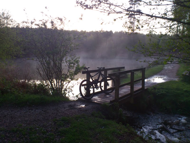 Birches Valley Pools