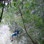 1240168_10152174295493084_1129222237_n