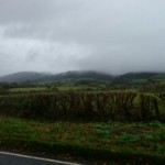 wpid-wp-1415224608910.jpeg