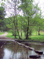 Stepping Stones Cannock Chase Normal water level