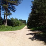 Sherwood Pines